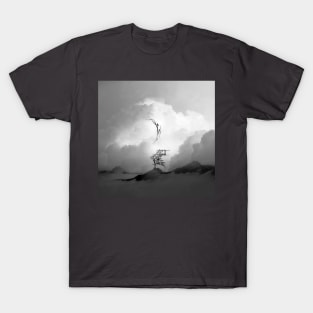 Faith is a Black and White Square Bird Artwork T-Shirt